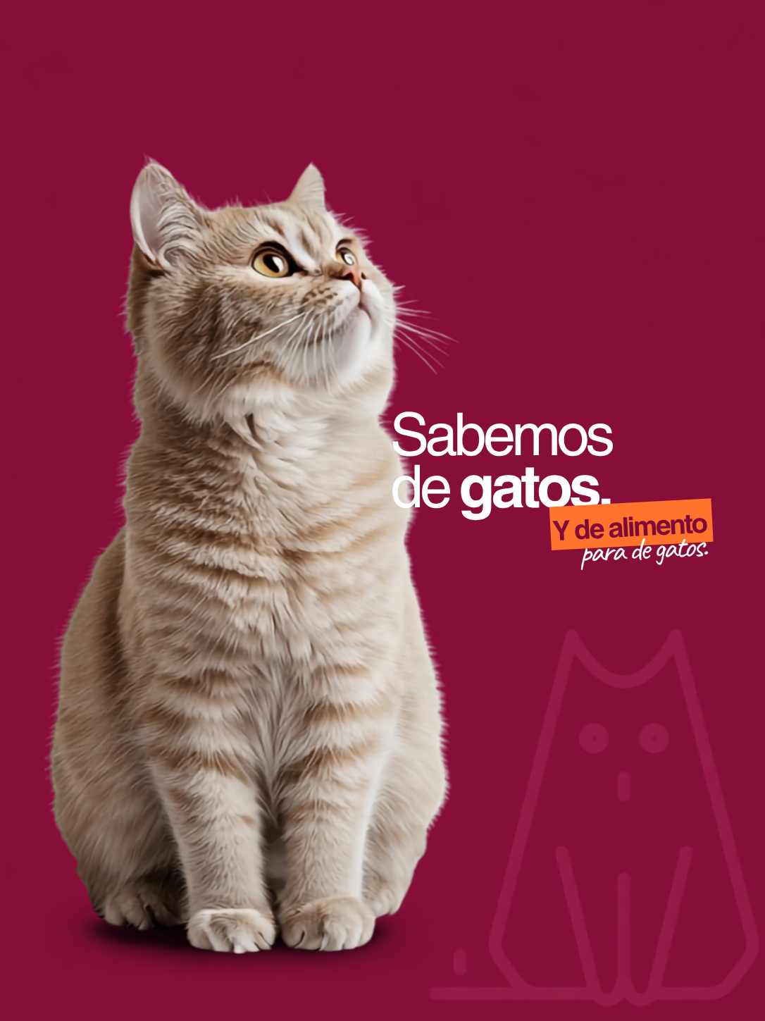 Alimento para Gato