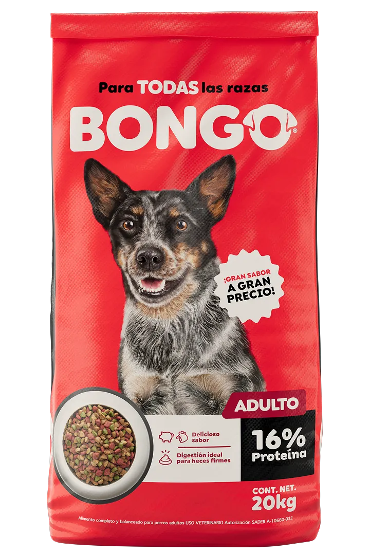 BONGO - Para todas las razas - ADULTO