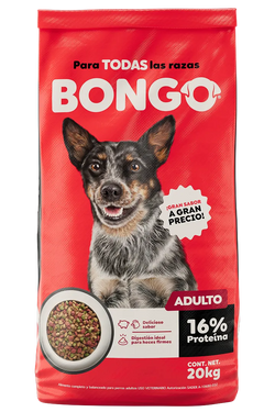 BONGO - Para todas las razas - ADULTO