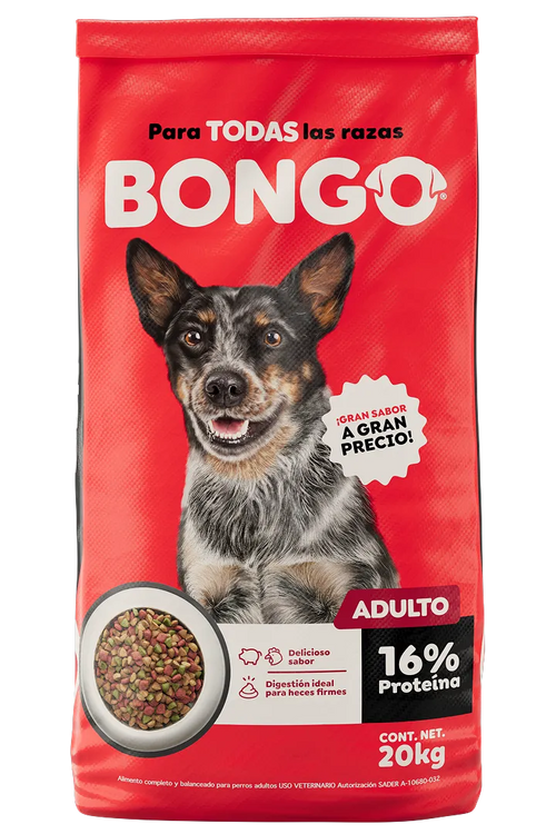BONGO - Para todas las razas - ADULTO