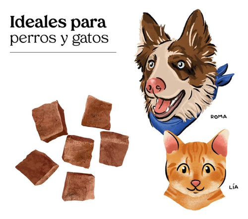 Premios de Hígado de Cerdo Liofilizado - Perros y Gatos