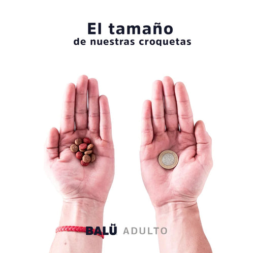 BALÚ - Para todas las razas - ADULTO