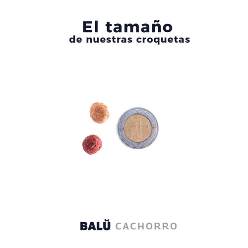 BALÚ - Para todas las razas - CACHORRO