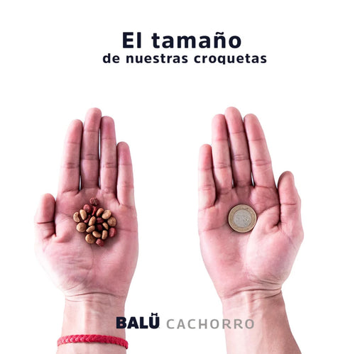 BALÚ - Para todas las razas - CACHORRO