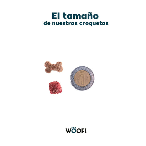 WOOFI - Para todas las razas - ADULTO
